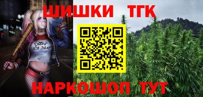 стафф Лесосибирск