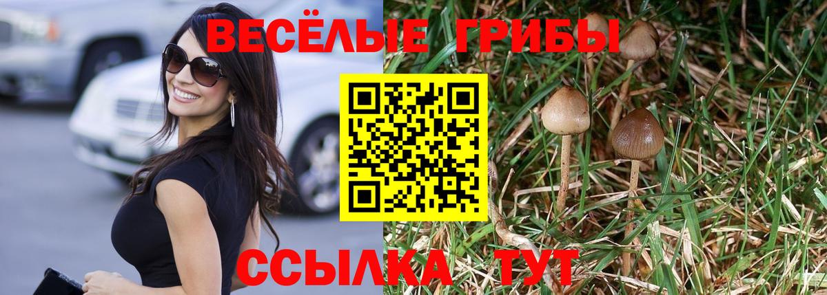 Псилоцибиновые грибы Psilocybine cubensis  Вход с VPN  Азов  Галлюциногенные грибы мухоморы 